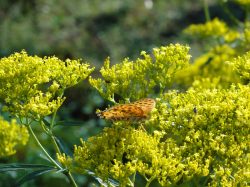1968_DSC01004_3648x2736