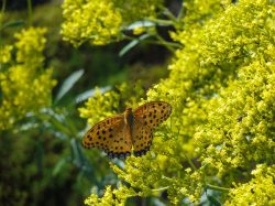 1971_DSC01007_3648x2736