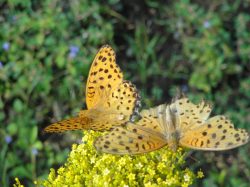 1972_DSC01009_3648x2736