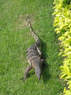 2343_DSC02547_2736x3648