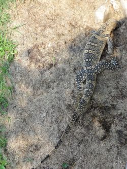 2347_DSC02551_2736x3648