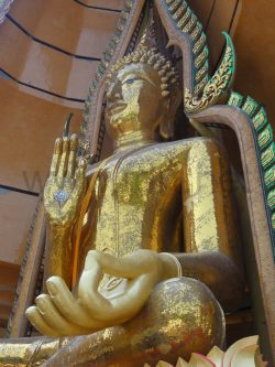 2571_DSC02333_2736x3648
