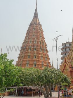 2573_DSC02335_2736x3648