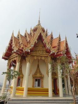 2576_DSC02338_2736x3648