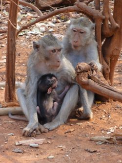 2624_DSC02369_2736x3648