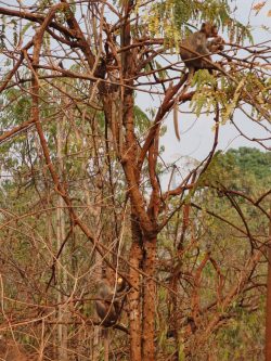 2633_DSC02374_2736x3648