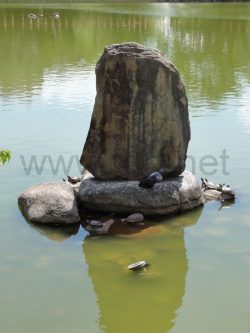 347_DSC00360_2736x3648