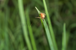 5459_20130508183954-87ab6cb0_4928x3264