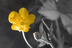 5476_20130508193616-89315621_4172x2781
